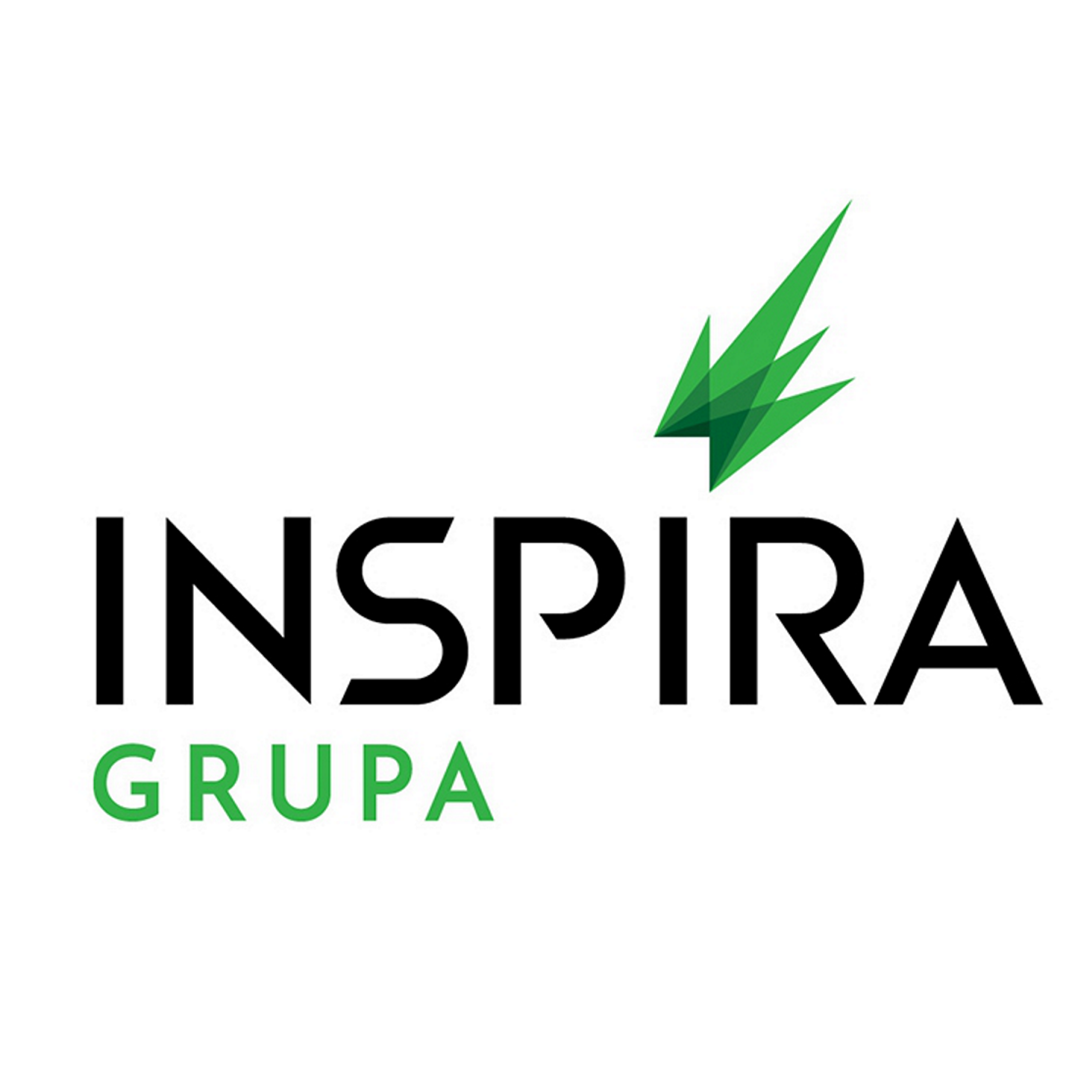 Inspira grupa